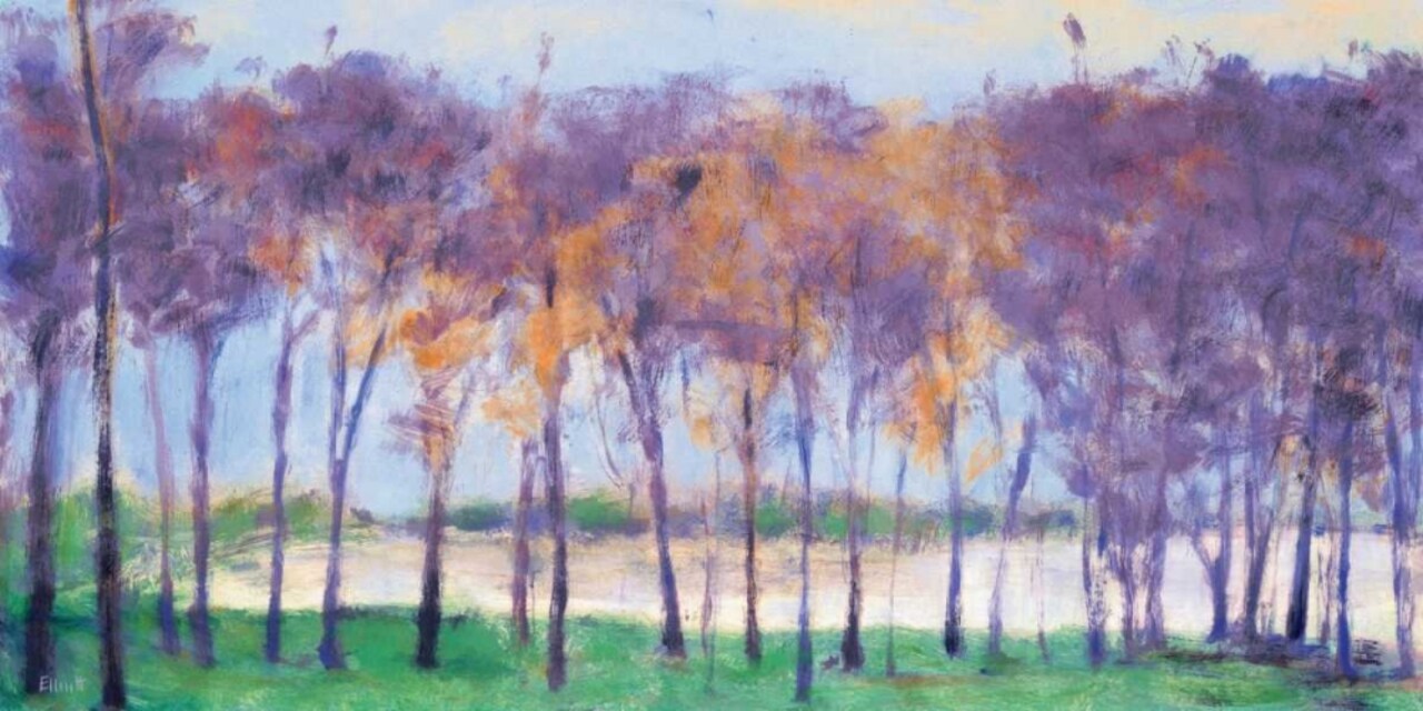 Grove And Lake Poster Print by Ken Elliott - Item # VARPDXKE102T